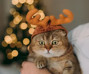Holiday Service Fee